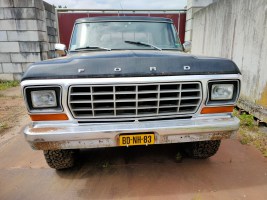 Ford F250 1979 (2)